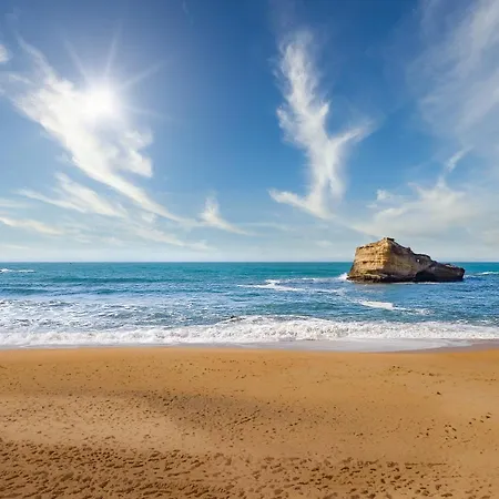 Magnifique Avec Terrasse, Parking Et Vue Sur L'ocean Pour 5 דירה *